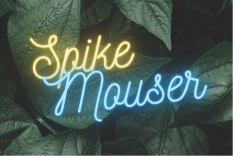 spikemouser OnlyFans profile picture
