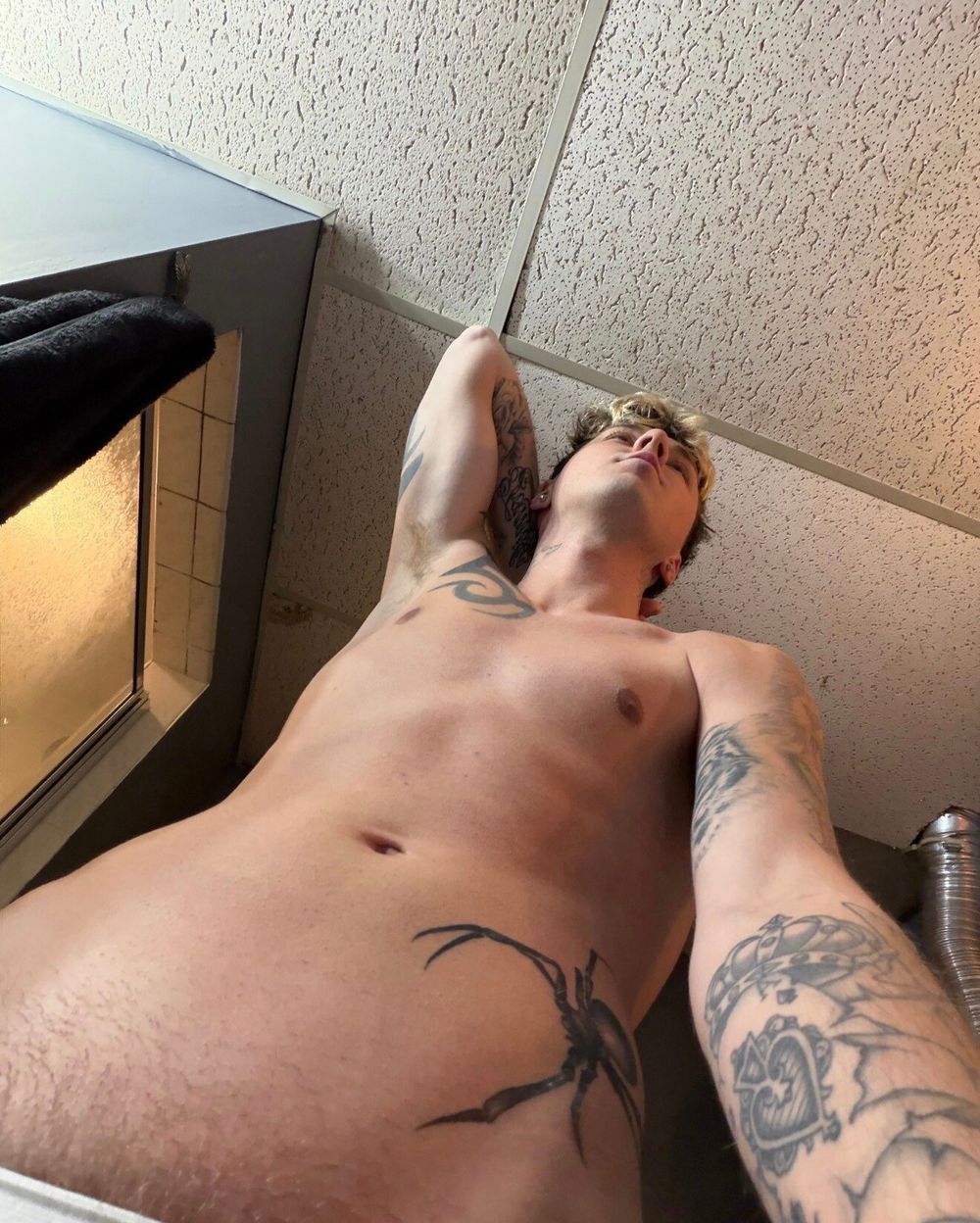 aydenwildin OnlyFans profile picture