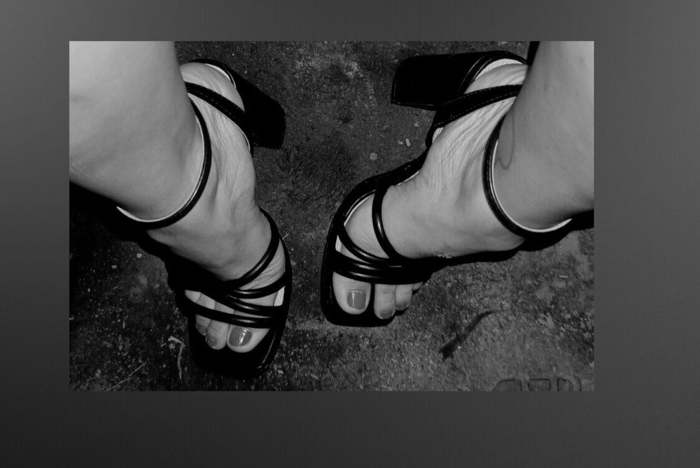 ladysamm OnlyFans profile picture