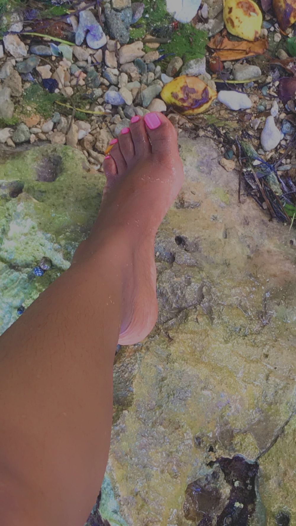 asialeebadgal OnlyFans profile picture
