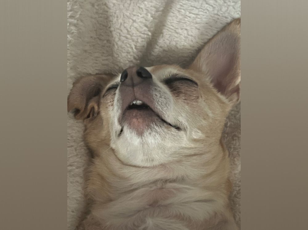 levi611 OnlyFans profile picture