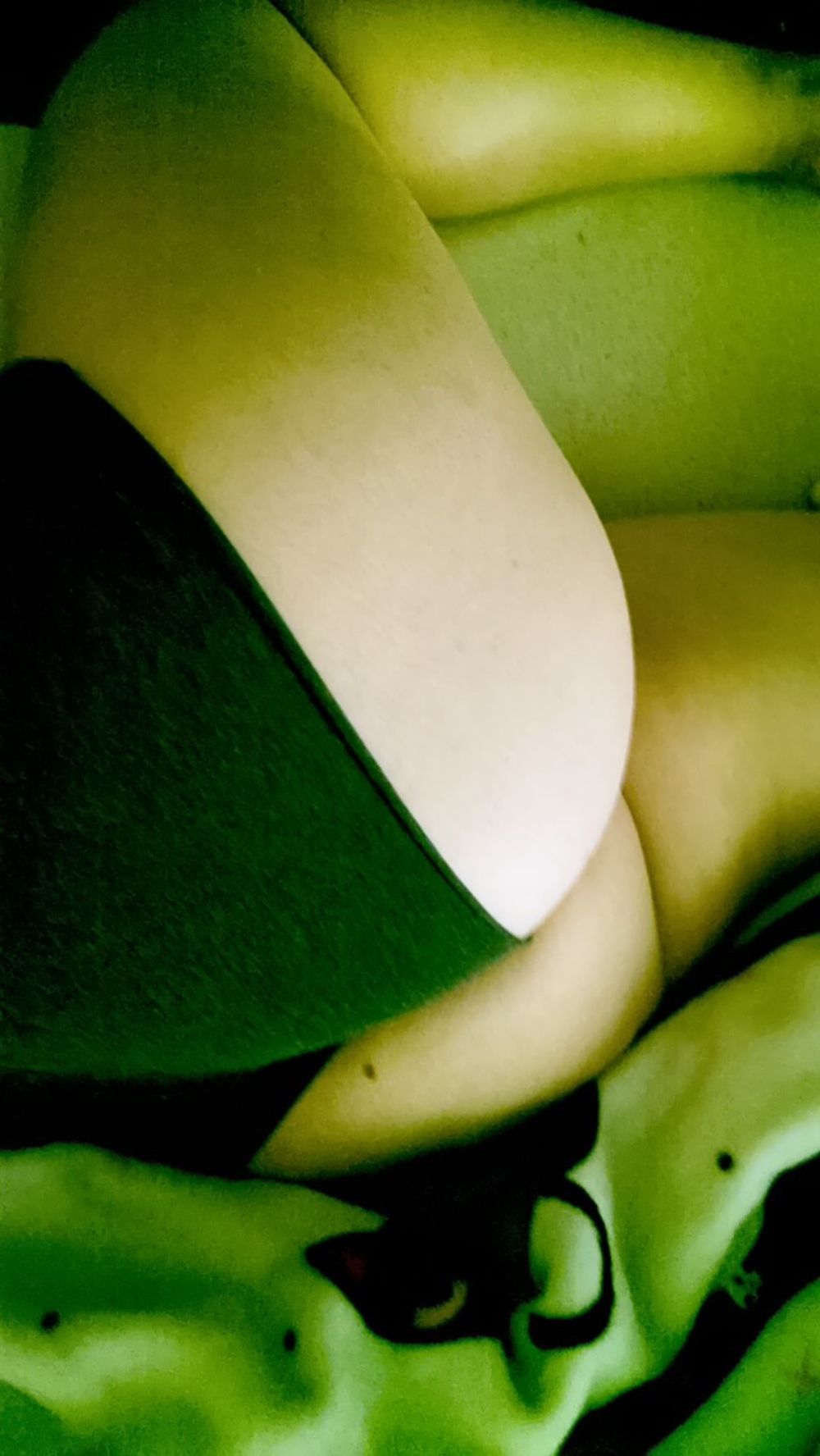 imthatpaiges OnlyFans profile picture