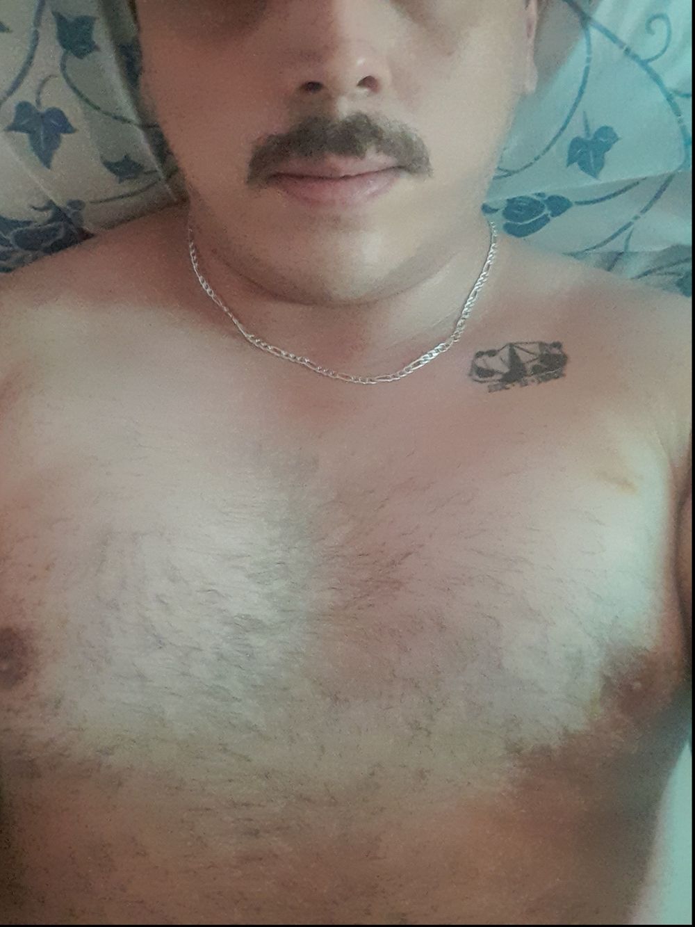 vladimiroso OnlyFans profile picture