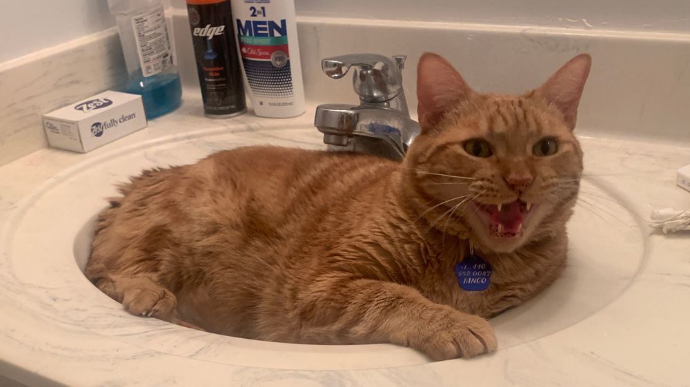 romano0z OnlyFans profile picture
