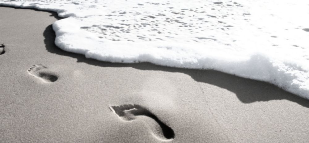 twinkle_toe_love OnlyFans profile picture
