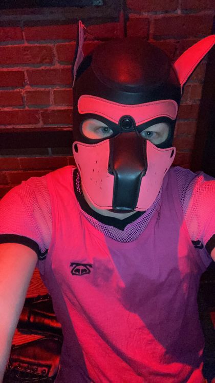 puplucianxxx OnlyFans picture