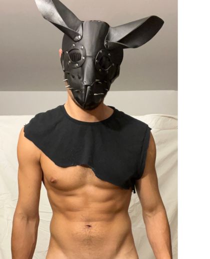 dombunnyxl OnlyFans picture