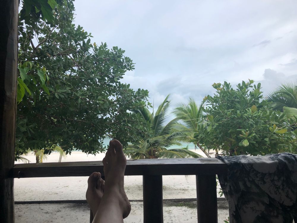 barefootvenus OnlyFans profile picture