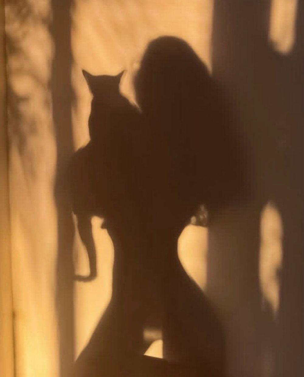 elle_tbaby OnlyFans profile picture