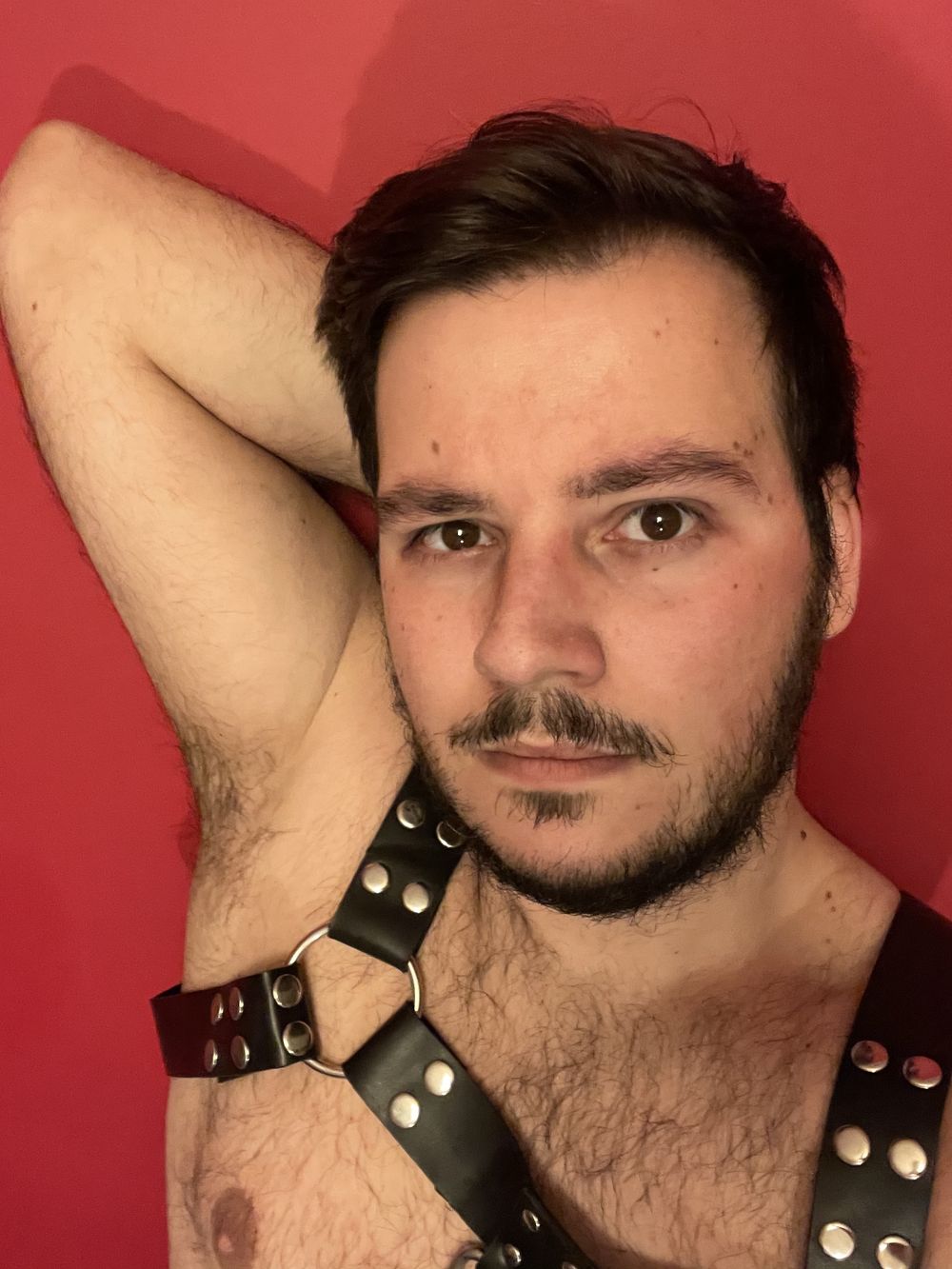 teddybear_lx OnlyFans profile picture