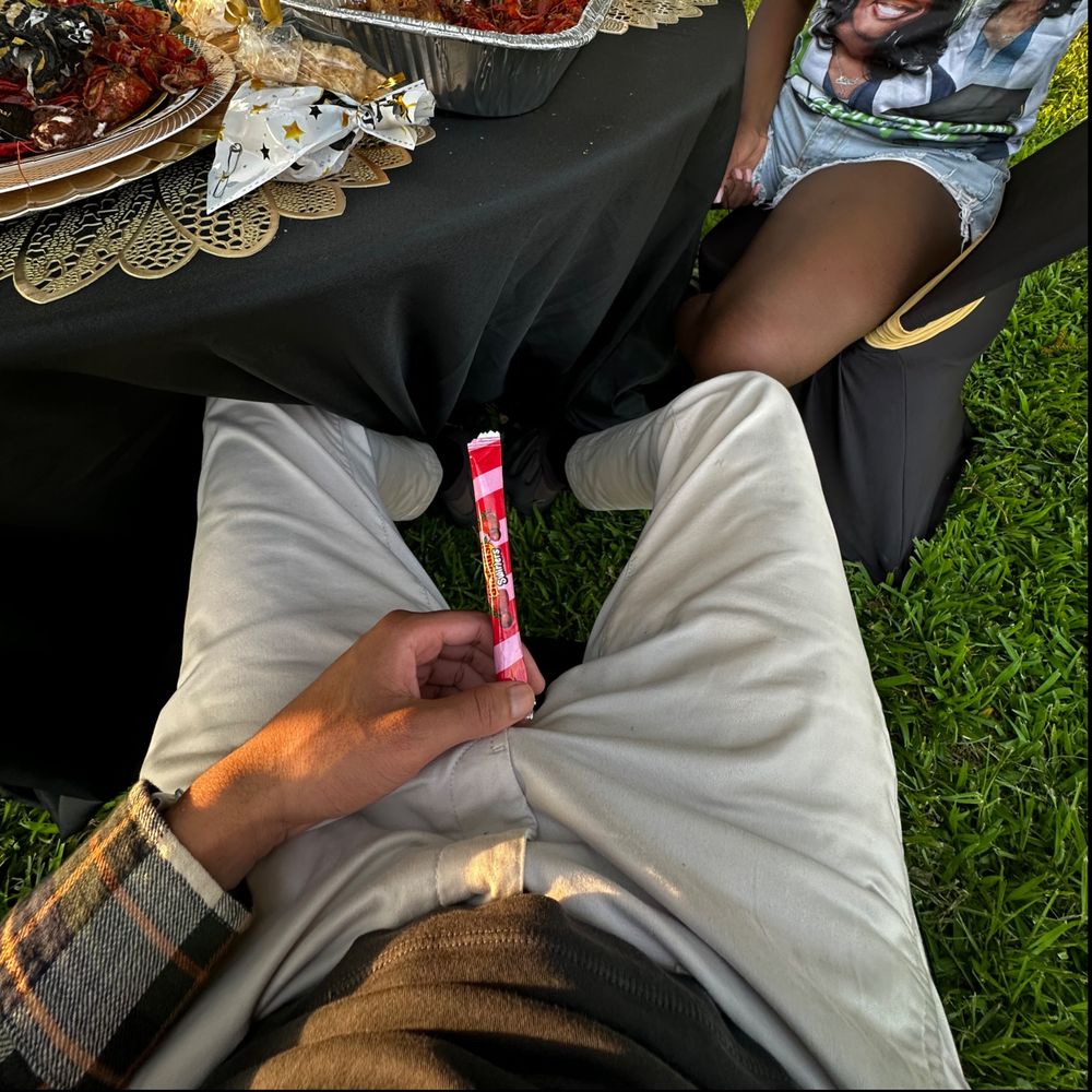 fliebait OnlyFans profile picture