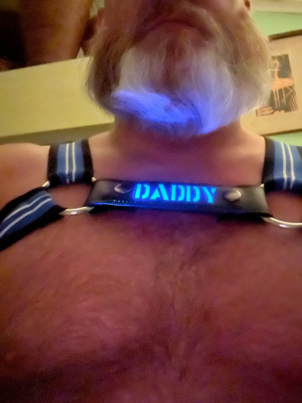 mgtnbear OnlyFans profile picture