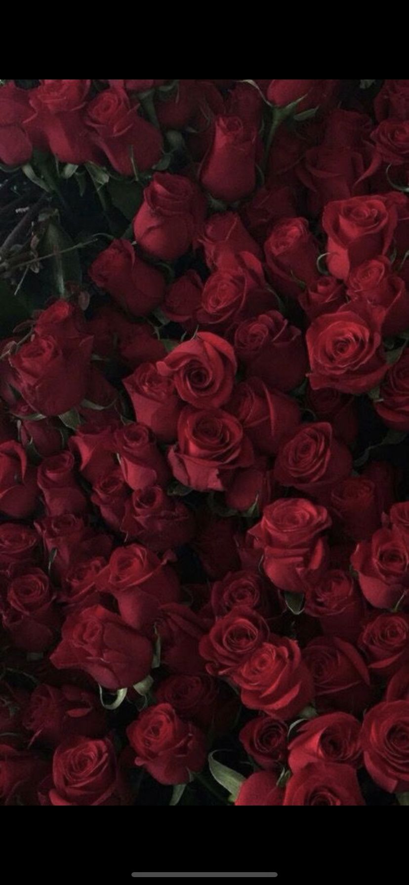 roselaura69 OnlyFans profile picture
