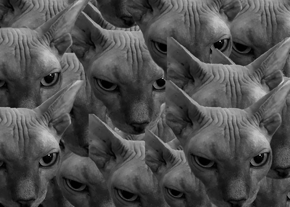 luciferhihi666 OnlyFans profile picture