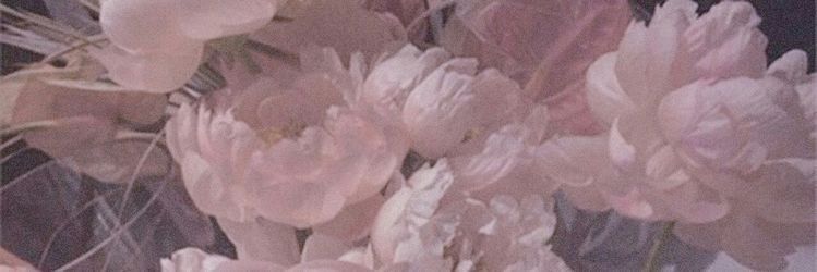 prettylilpetal OnlyFans profile picture