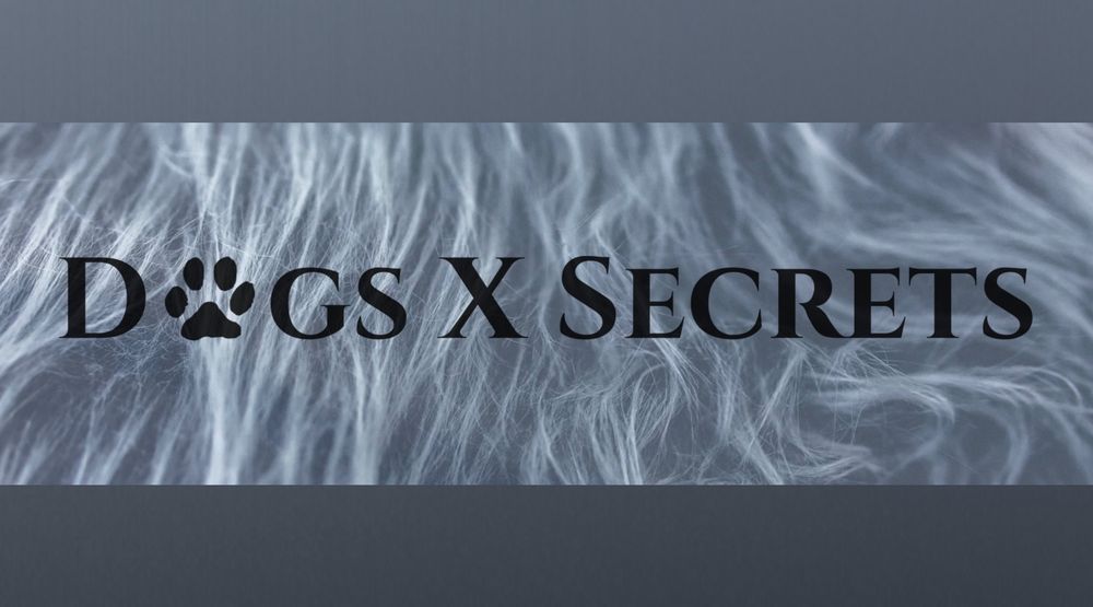 dogsxsecrets OnlyFans profile picture