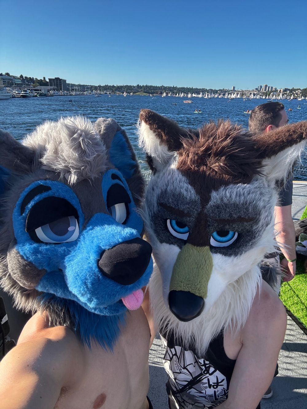 knottydogs OnlyFans profile picture