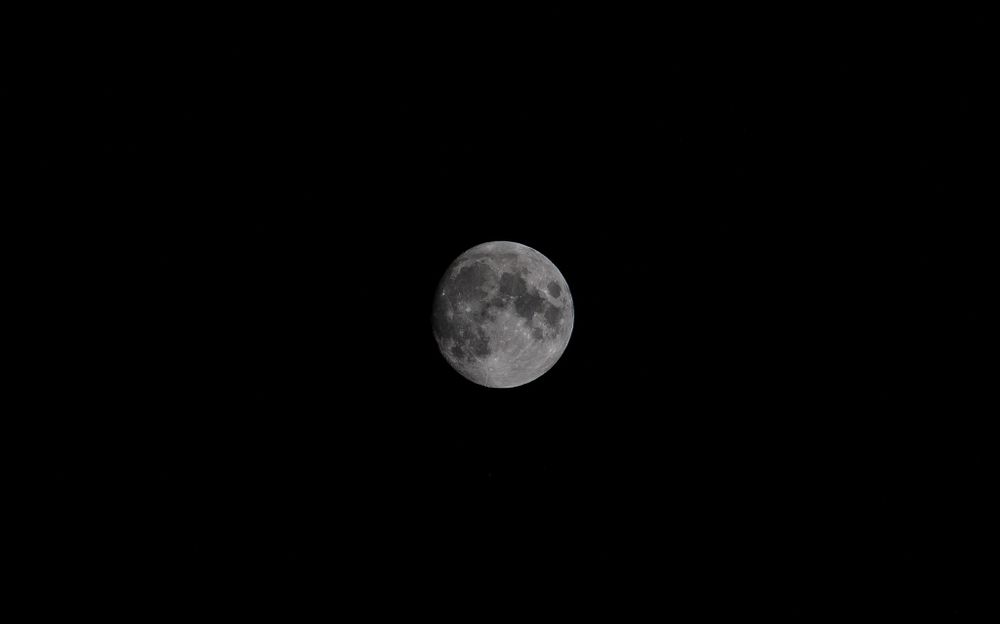 stoneymoonchild OnlyFans profile picture