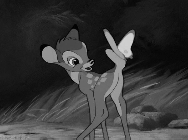 lifeofbambi OnlyFans profile picture