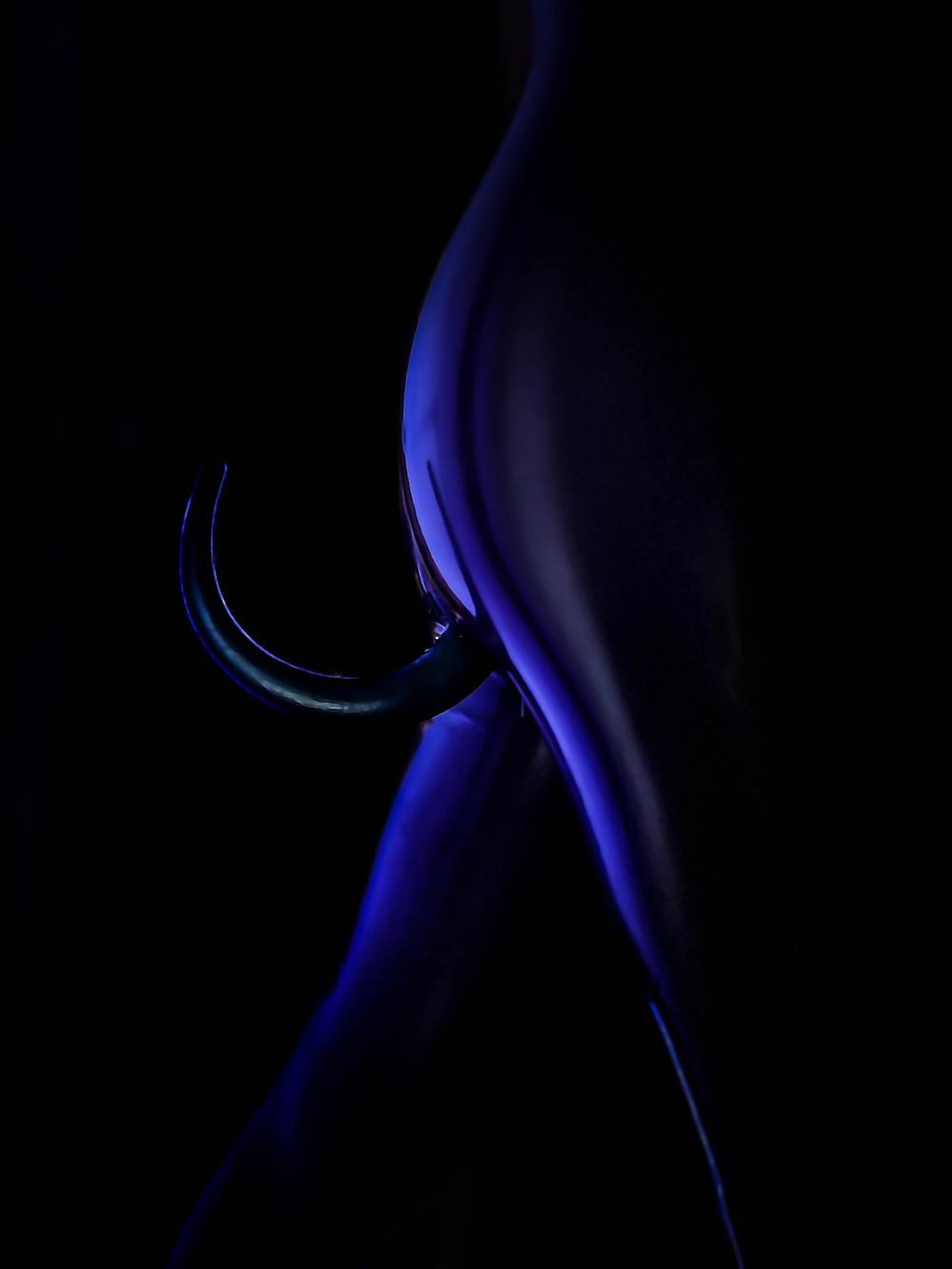 chiennoir OnlyFans profile picture