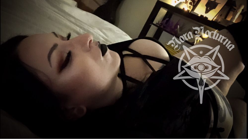 noranocturnafree OnlyFans profile picture