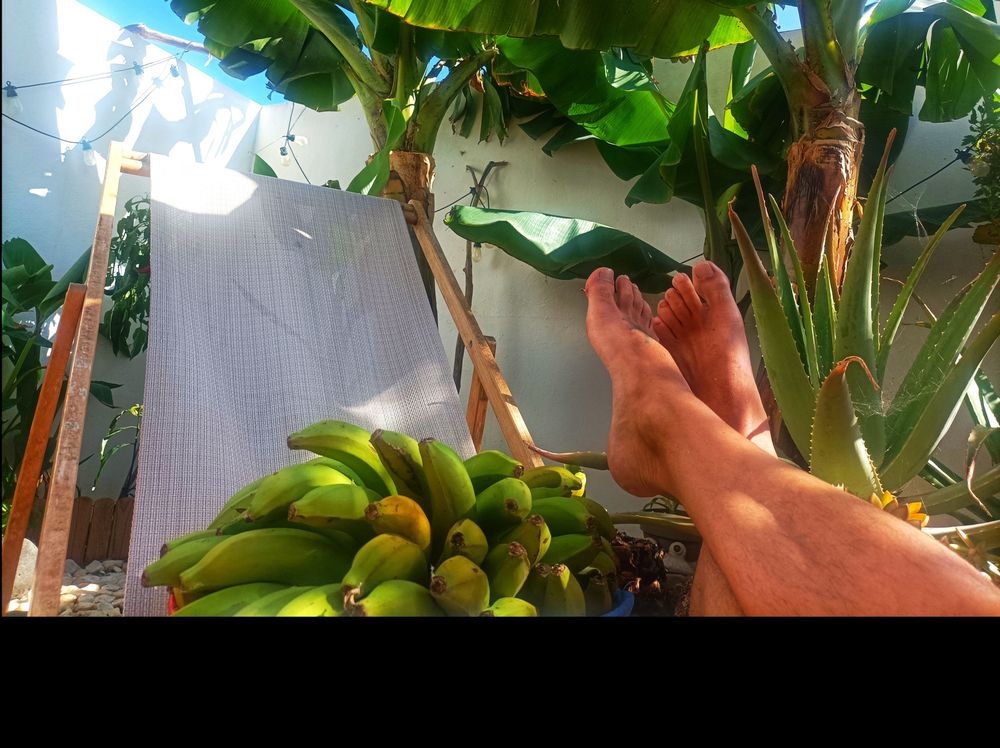feet_islands OnlyFans profile picture
