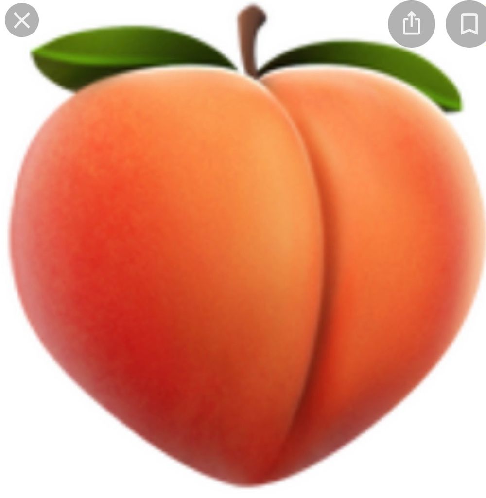 bigtushylottie OnlyFans profile picture
