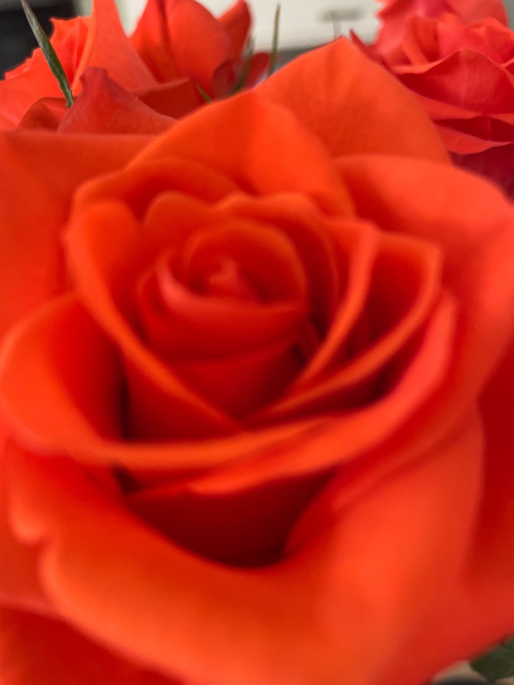 cinderellal69 OnlyFans profile picture