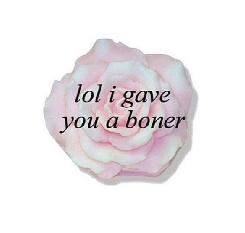 mommamemes OnlyFans profile picture