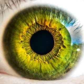 dedeyez OnlyFans profile picture