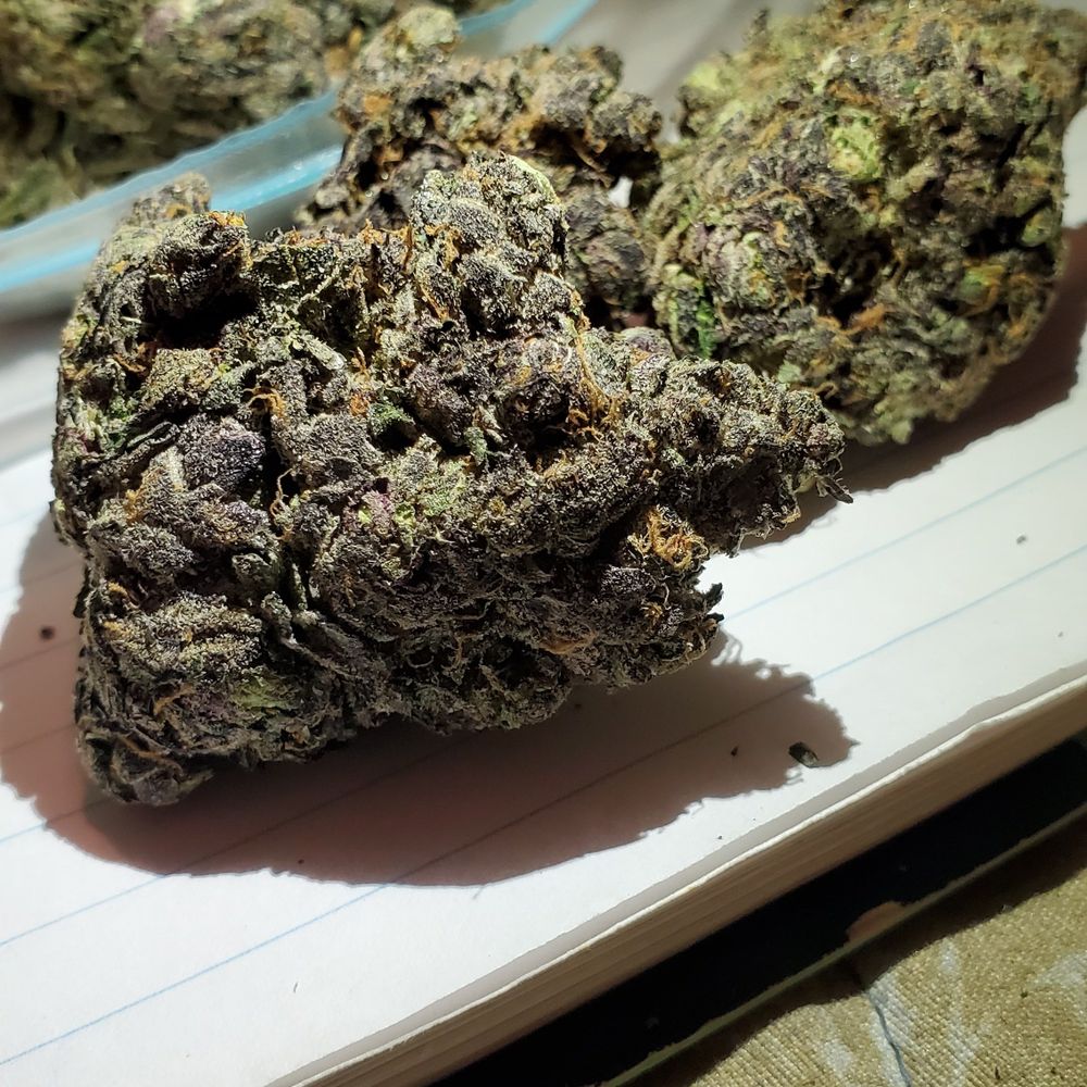 puffercannabisclub OnlyFans profile picture