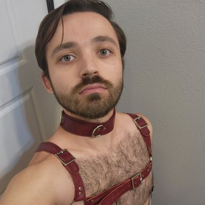 average-otter OnlyFans picture