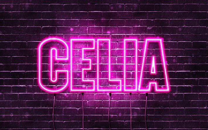 celiabbw OnlyFans profile picture