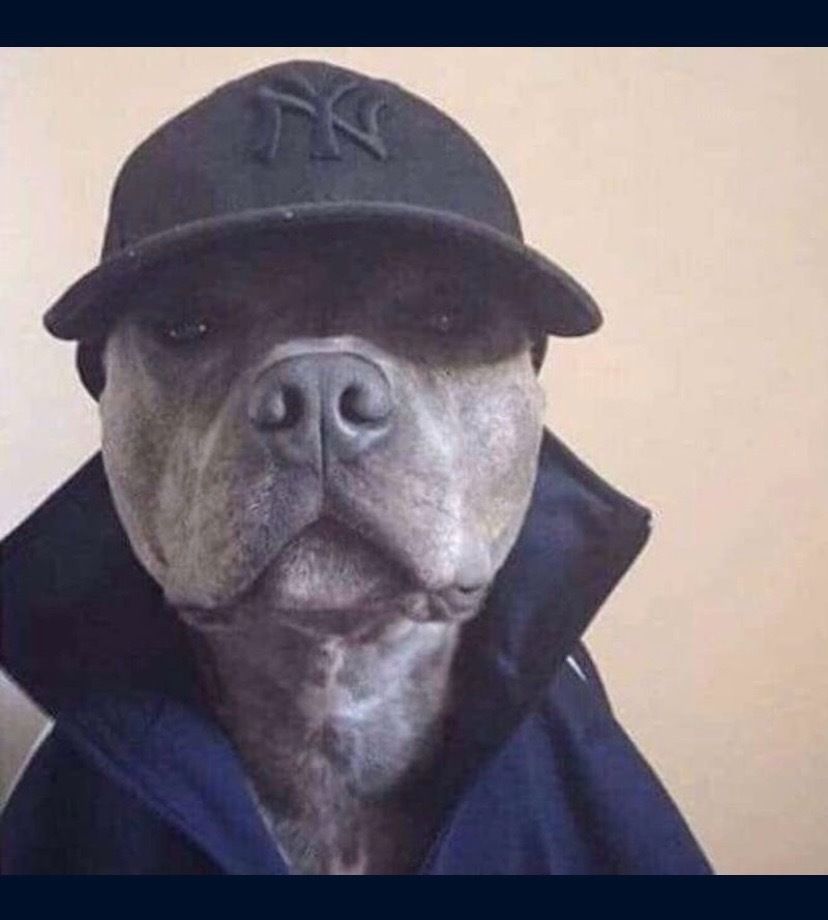 kashkazady OnlyFans profile picture