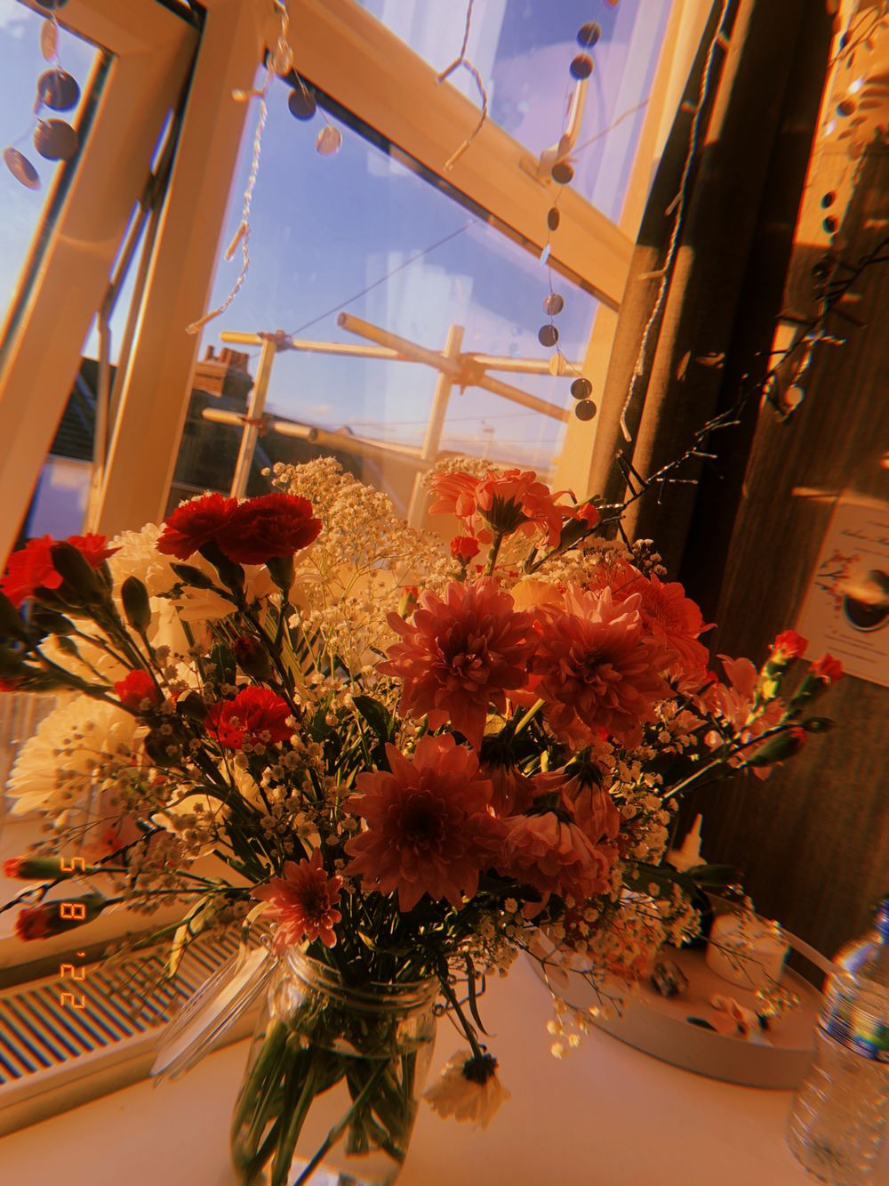 pippaflowers_free OnlyFans profile picture