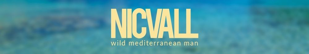 nicvall OnlyFans profile picture