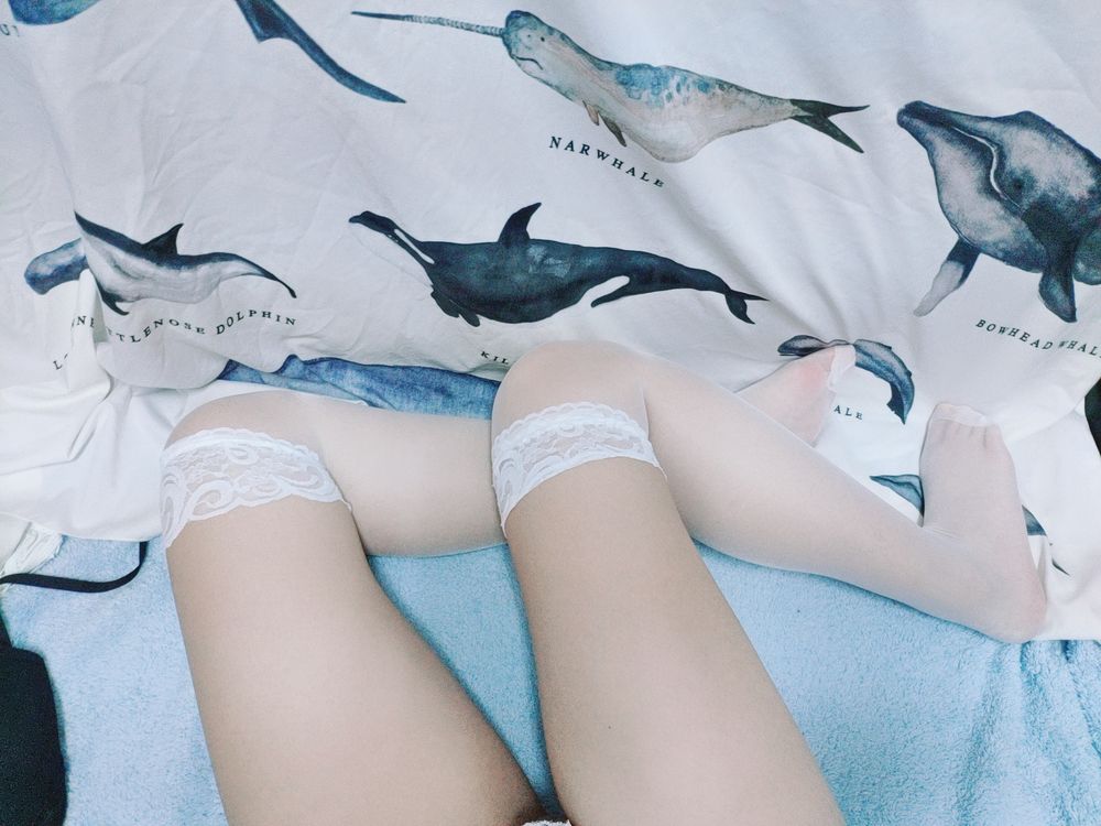 meowmeow5433 OnlyFans profile picture