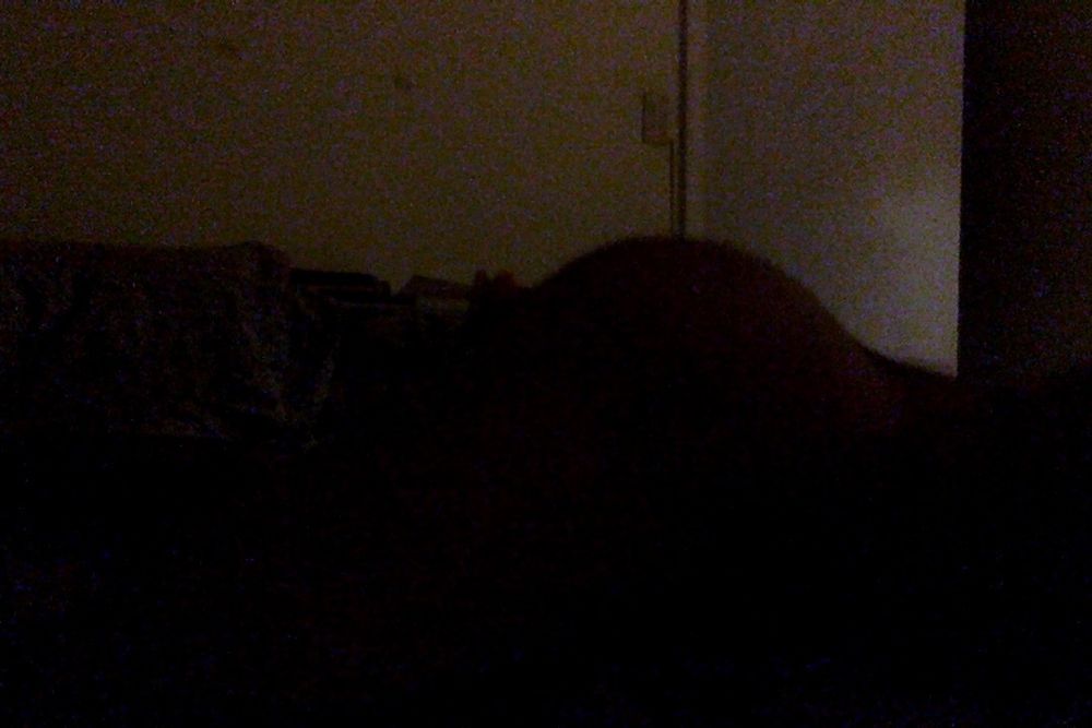 penechoto OnlyFans profile picture