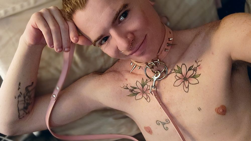 kit_than OnlyFans profile picture