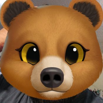 Affectionate Bear