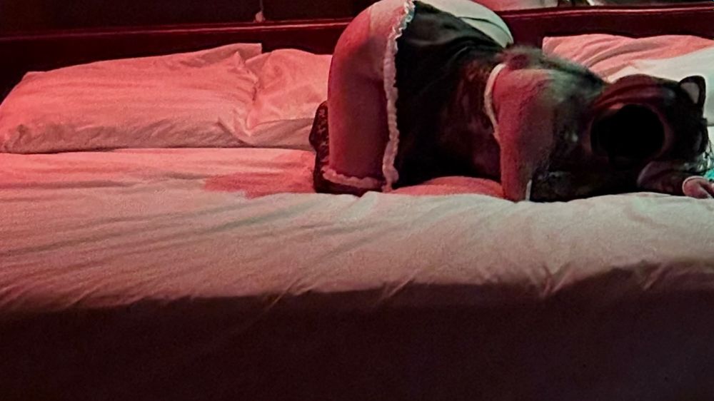 mar_honey OnlyFans profile picture