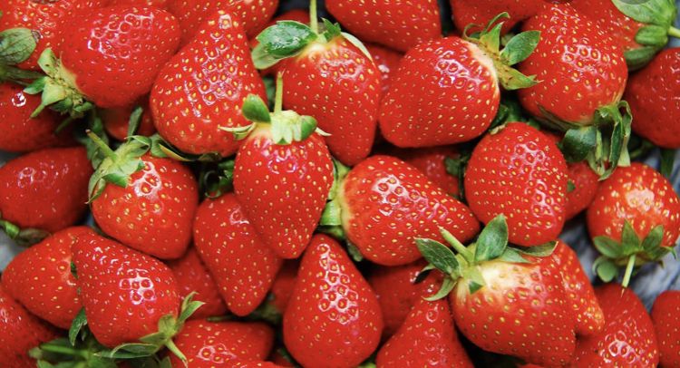 strawberrysnack OnlyFans profile picture