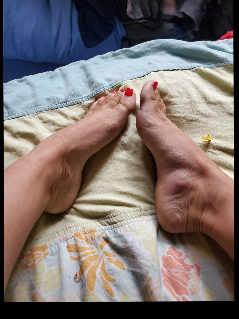ryleescutetoes OnlyFans profile picture