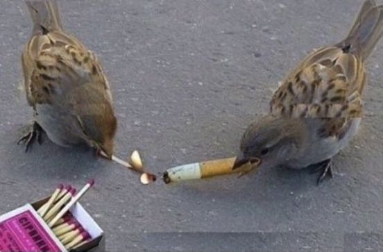 ilovecigarettes69 OnlyFans profile picture