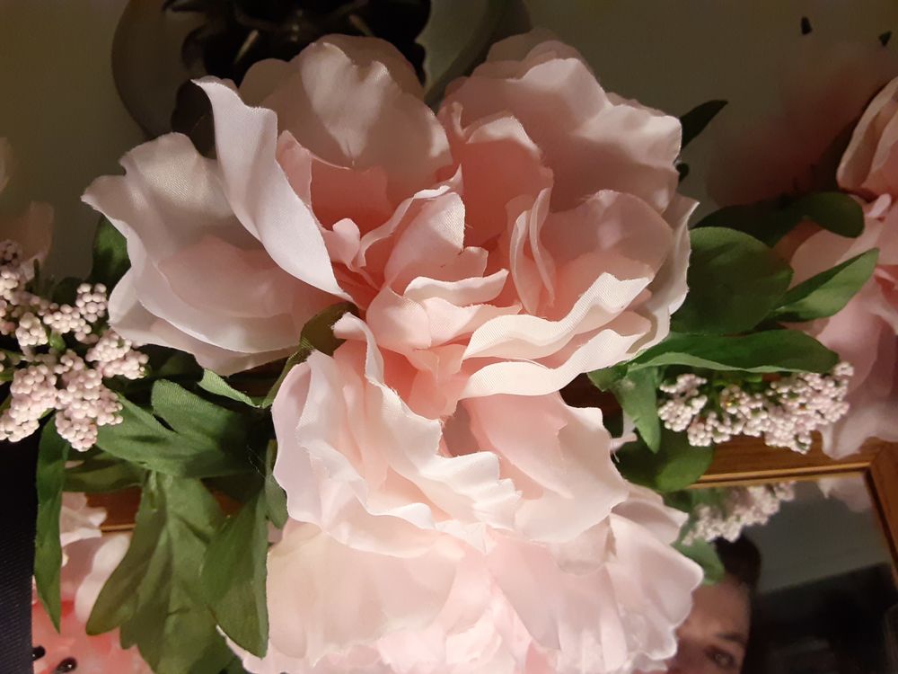 sweetprincess559 OnlyFans profile picture