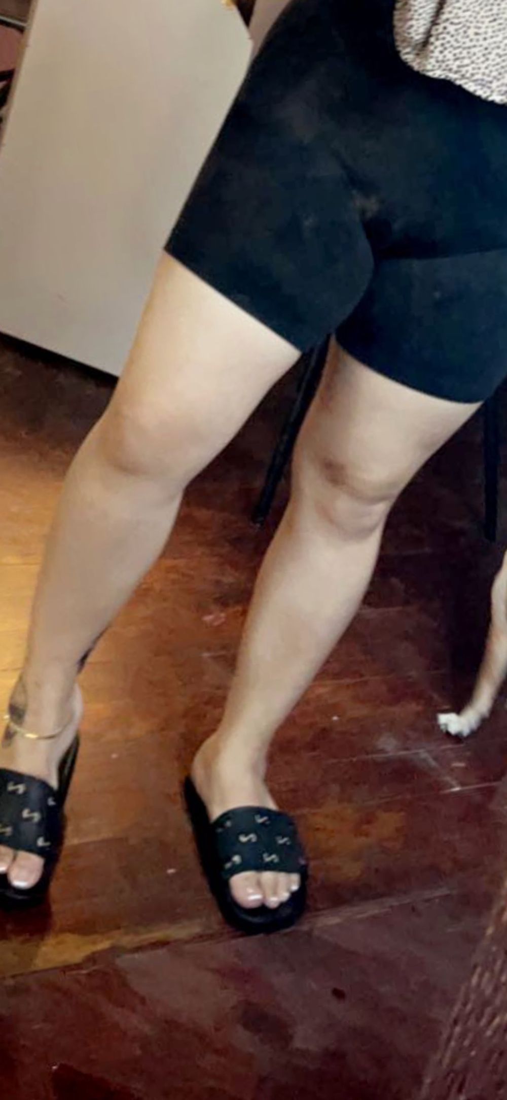 u49173198 OnlyFans profile picture