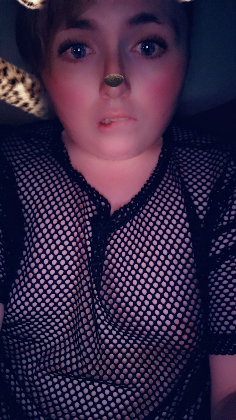 reneeforrest OnlyFans profile picture