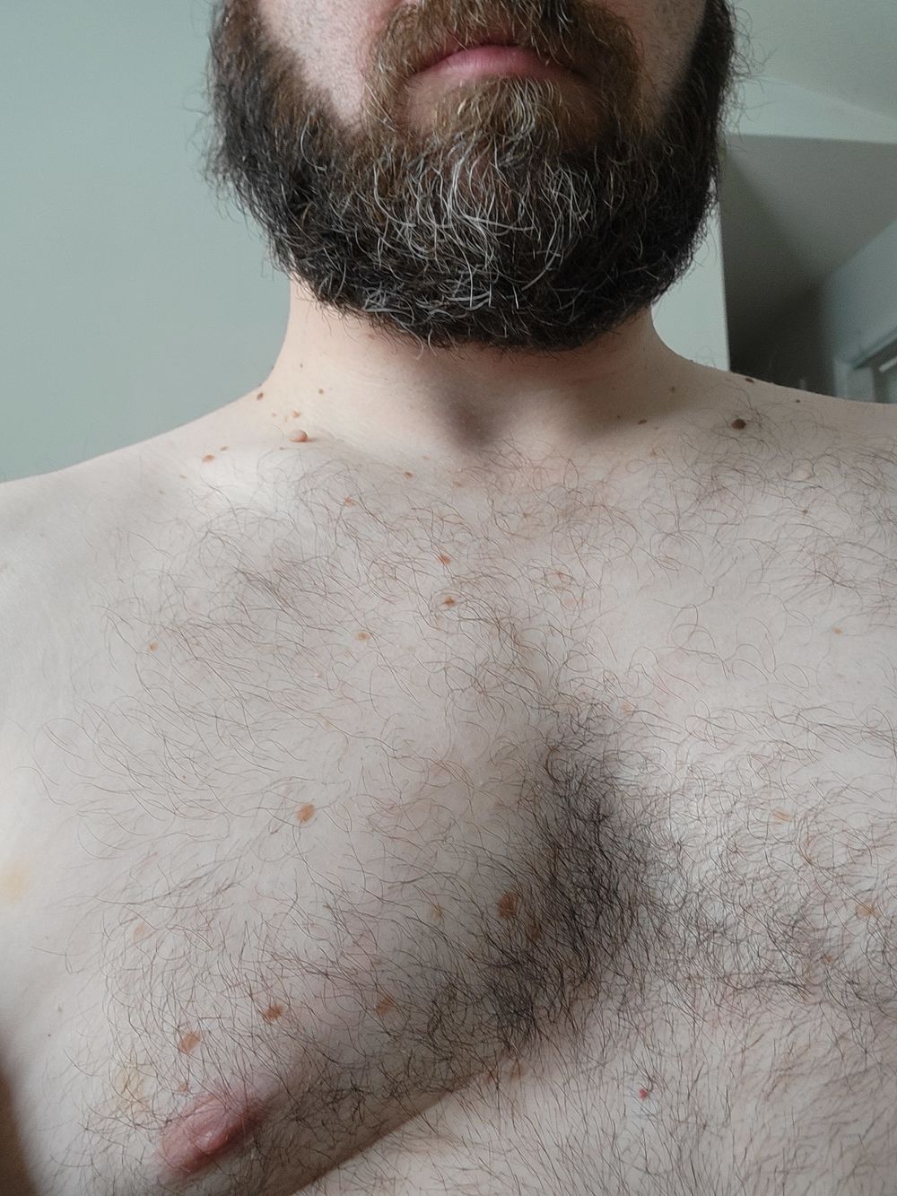 daddybear43 OnlyFans profile picture