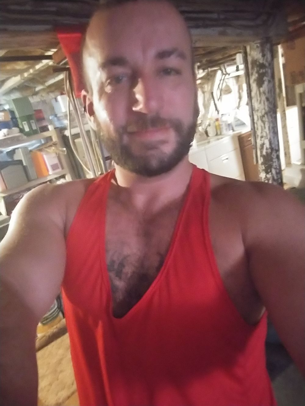 u31674177 OnlyFans profile picture