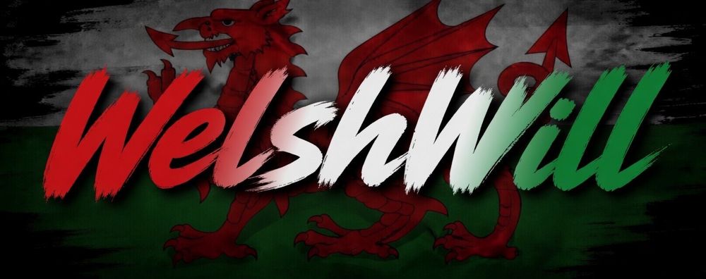 welshwill OnlyFans profile picture